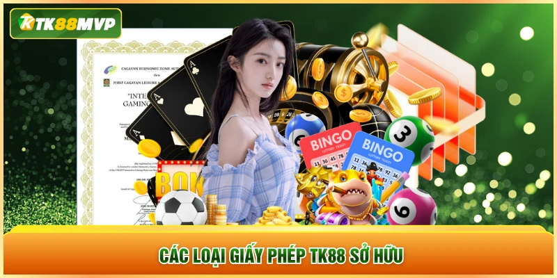 Các loại giấy phép Tk88 sở hữu Các loại giấy phép Tk88 sở hữu