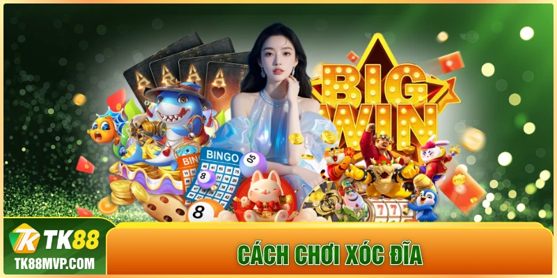 Cách chơi xóc đĩa