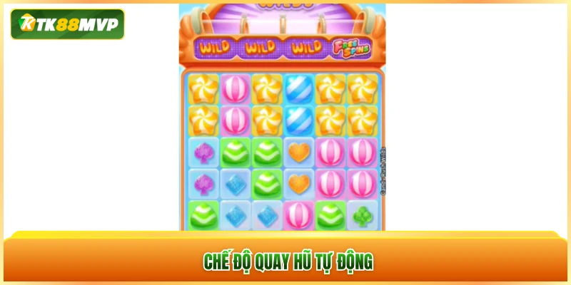 Chế độ quay hũ tự động