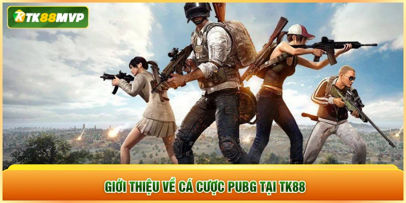 Giới thiệu về cá cược PUBG tại TK88