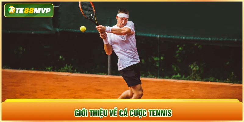 Giới thiệu về cá cược tennis