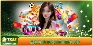 Mẹo chơi rồng hổ