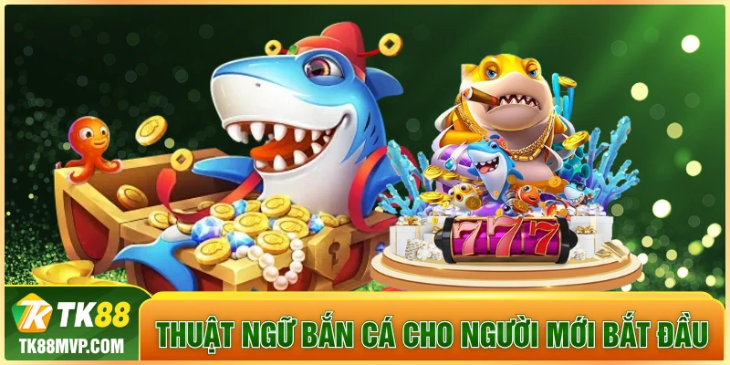 thuật ngữ bắn cá cho người mới bắt đầu