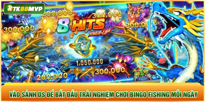 Vào sảnh DS để bắt đầu trải nghiệm chơi Bingo Fishing mỗi ngày