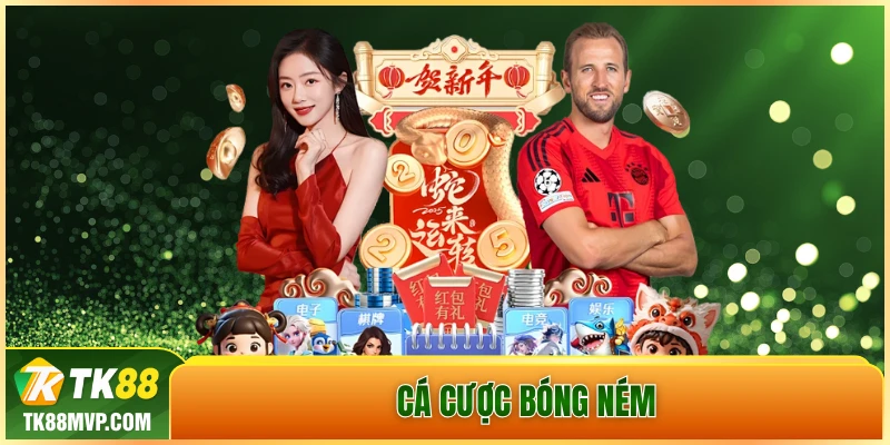 cá cược bóng ném