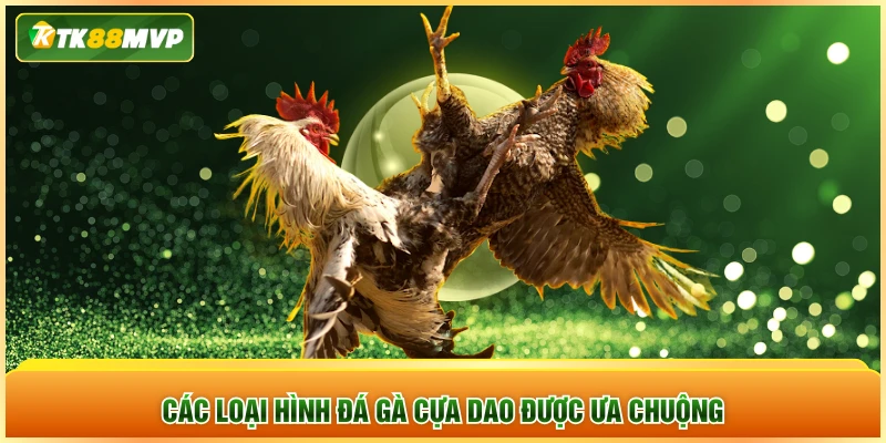 Các loại hình đá gà cựa dao được ưa chuộng