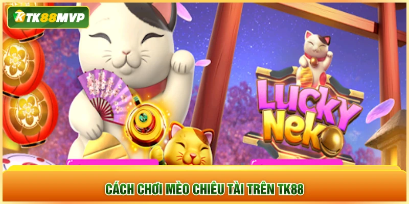 Cách chơi mèo chiêu tài trên TK88