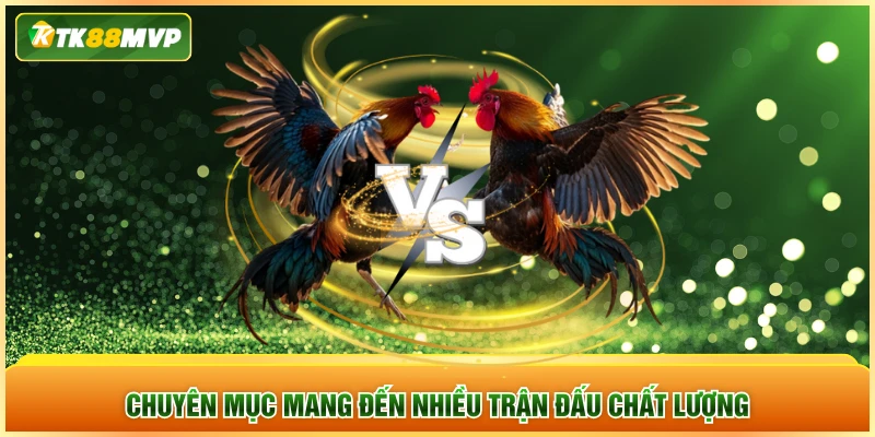 Chuyên mục mang đến nhiều trận đấu chất lượng Chuyên mục mang đến nhiều trận đấu chất lượng
