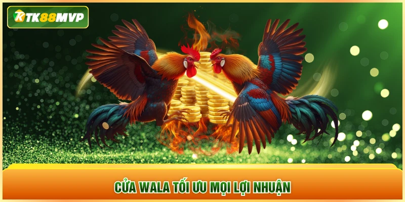 Cửa Wala tối ưu mọi lợi nhuận Cửa Wala tối ưu mọi lợi nhuận