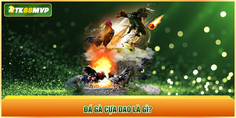 Đá gà cựa dao là gì?