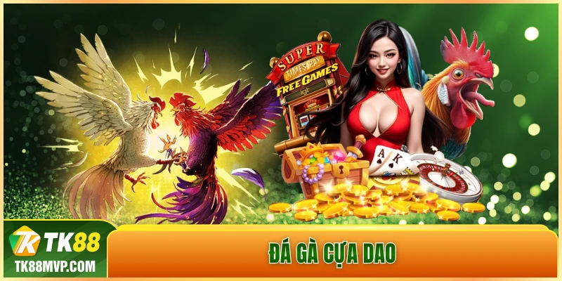 Đá gà cựa dao