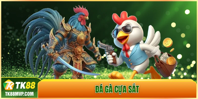 đá gà cựa sắt