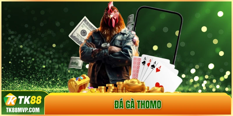 đá gà Thomo