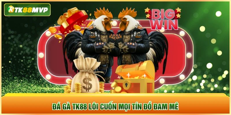 Đá gà TK88 lôi cuốn mọi tín đồ đam mê Đá gà TK88 lôi cuốn mọi tín đồ đam mê