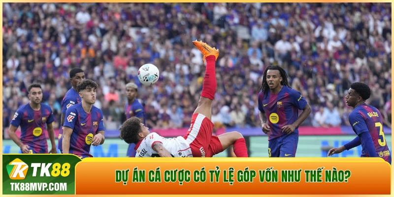 Dự án cá cược có tỷ lệ góp vốn như thế nào?