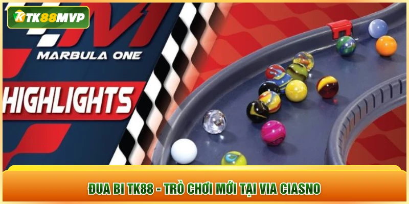 Đua bi TK88 - trò chơi mới tại Via Ciasno