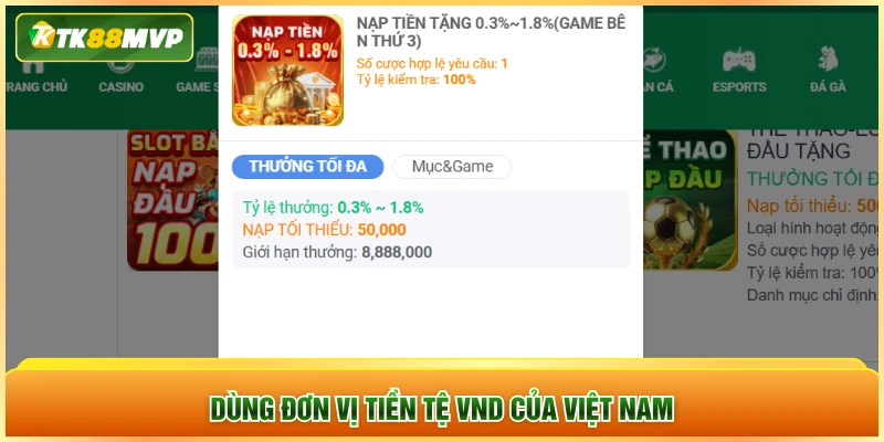 Dùng đơn vị tiền tệ VND của Việt Nam