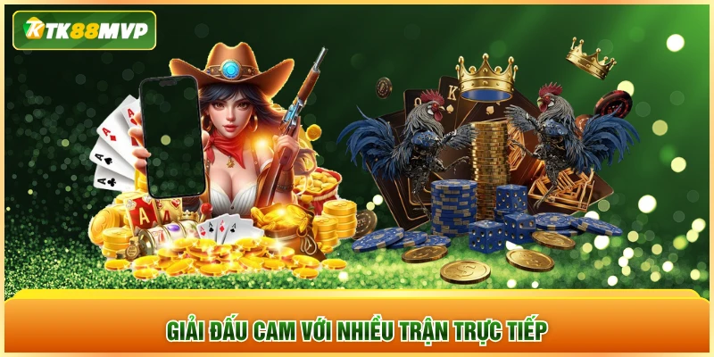 Giải đấu cam với nhiều trận trực tiếp Giải đấu cam với nhiều trận trực tiếp