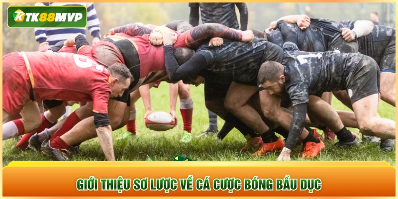 Giới thiệu sơ lược về cá cược bóng bầu dục Giới thiệu sơ lược về cá cược bóng bầu dục