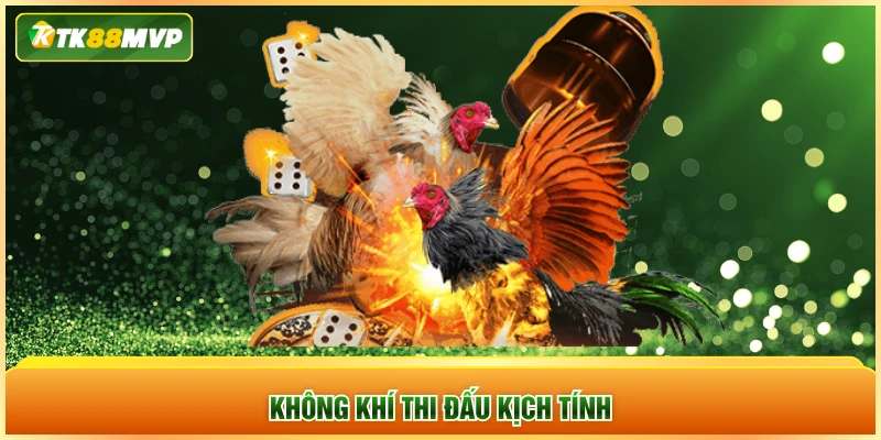 Không khí thi đấu kịch tính