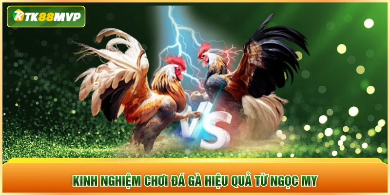Kinh nghiệm chơi đá gà hiệu quả từ Ngọc My
