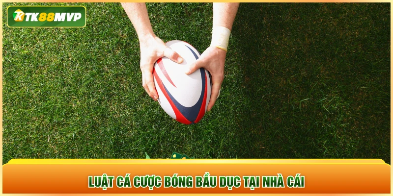 Luật cá cược bóng bầu dục tại nhà cái Luật cá cược bóng bầu dục tại nhà cái