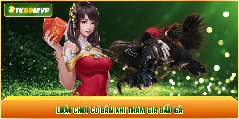 Luật chơi cơ bản khi tham gia đấu gà