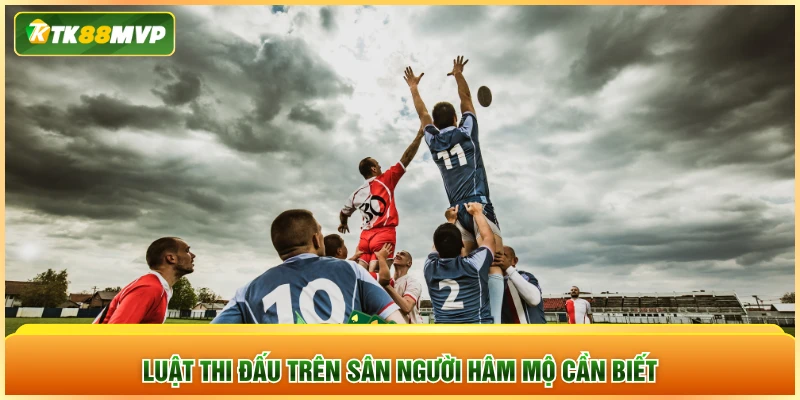 Luật thi đấu trên sân người hâm mộ cần biết Luật thi đấu trên sân người hâm mộ cần biết