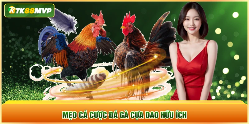 Mẹo cá cược đá gà cựa dao hữu ích
