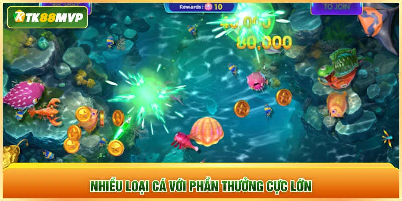 Nhiều loại cá với phần thưởng cực lớn