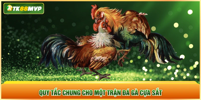 Quy tắc chung cho một trận đá gà cựa sắt