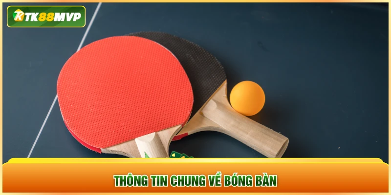 Thông tin chung về bóng bàn