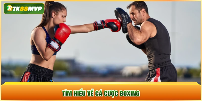 Tìm hiểu về cá cược boxing