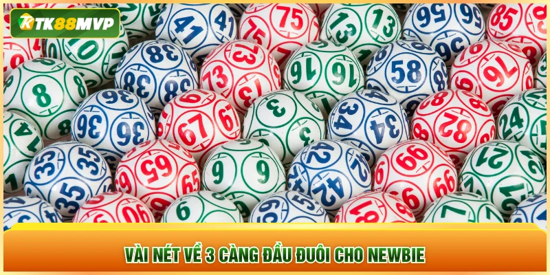 Vài nét về 3 càng đầu đuôi cho Newbie